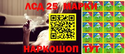 2c-b Кингисепп