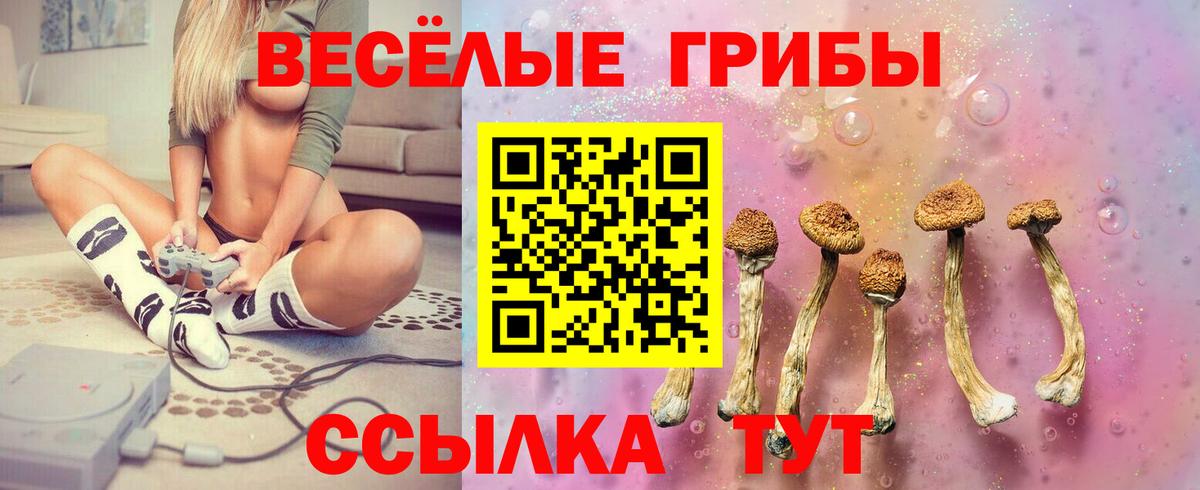 Галлюциногенные грибы ЛСД  Галлюциногенные грибы ЛСД  Вход с VPN  Коряжма 